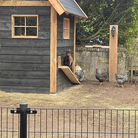 De Bosrand База отдыха Vaassen