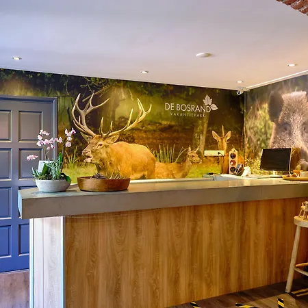 База отдыха De Bosrand 3*