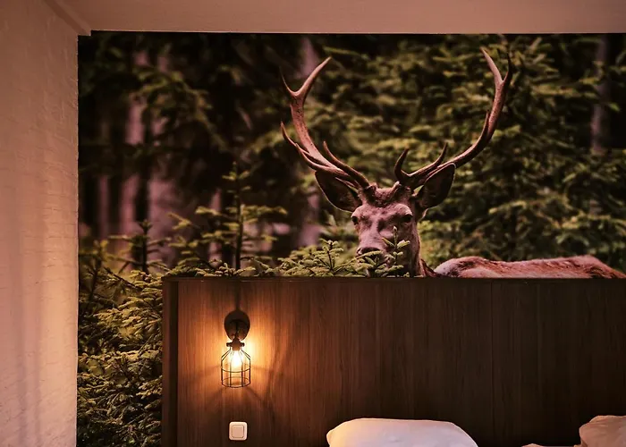 פארק נופש De Bosrand Vaassen