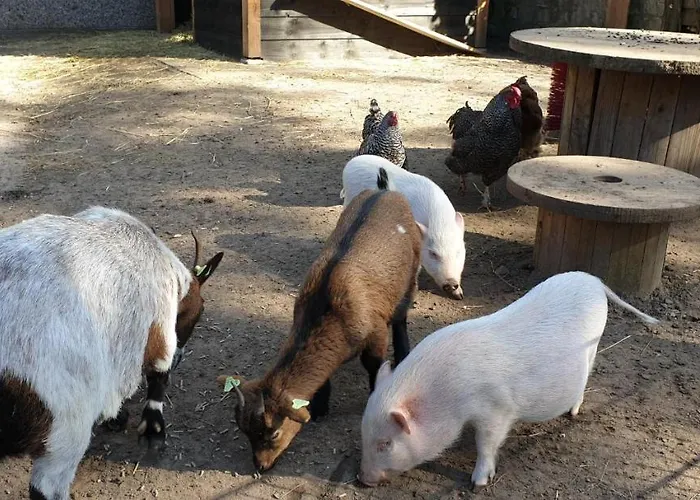 De Bosrand פארק נופש 3*