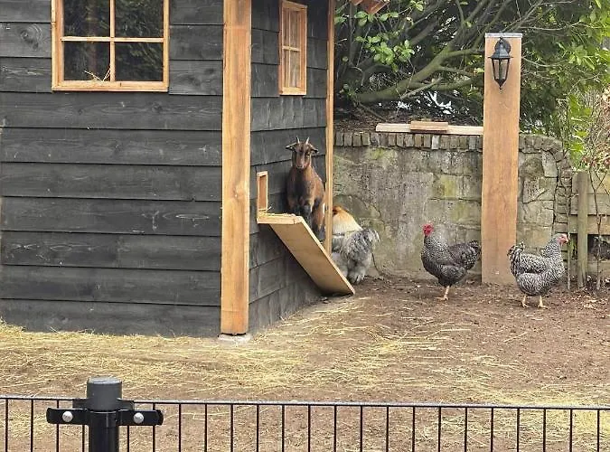 De Bosrand Feriepark Vaassen