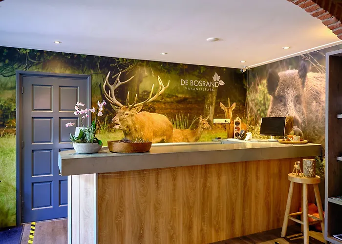 Feriepark De Bosrand 3*